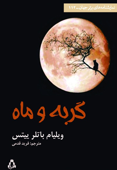 گربه و ماه